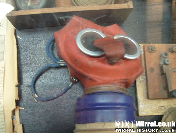 Attached picture gas mask resized.jpg